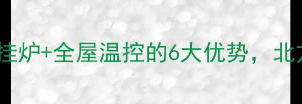 大户型采暖必看壁挂炉全屋温控的6大优势北方家庭都选它