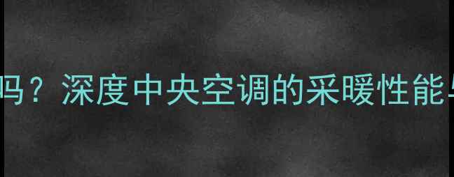 图片 大金中央空调带暖气吗？深度中央空调的采暖性能与冬季取暖解决方案1