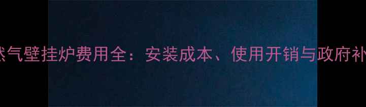 图片 天津天然气壁挂炉费用全：安装成本、使用开销与政府补贴政策1