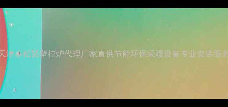 图片 天津小松鼠壁挂炉代理厂家直供节能环保采暖设备专业安装服务