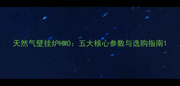 图片 天然气壁挂炉HWO：五大核心参数与选购指南1