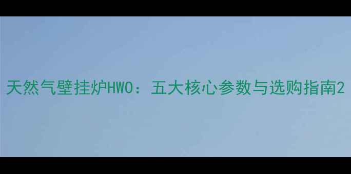 图片 天然气壁挂炉HWO：五大核心参数与选购指南2