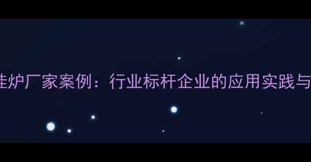 图片 天然气壁挂炉厂家案例：行业标杆企业的应用实践与市场洞察1