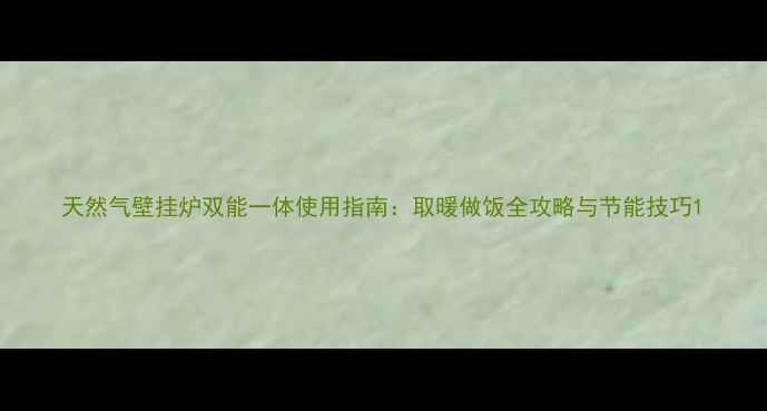 图片 天然气壁挂炉双能一体使用指南：取暖做饭全攻略与节能技巧1