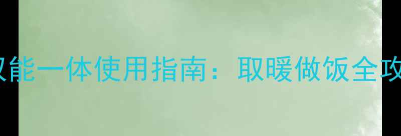 图片 天然气壁挂炉双能一体使用指南：取暖做饭全攻略与节能技巧2