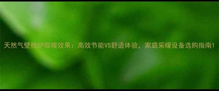 图片 天然气壁挂炉取暖效果：高效节能VS舒适体验，家庭采暖设备选购指南1