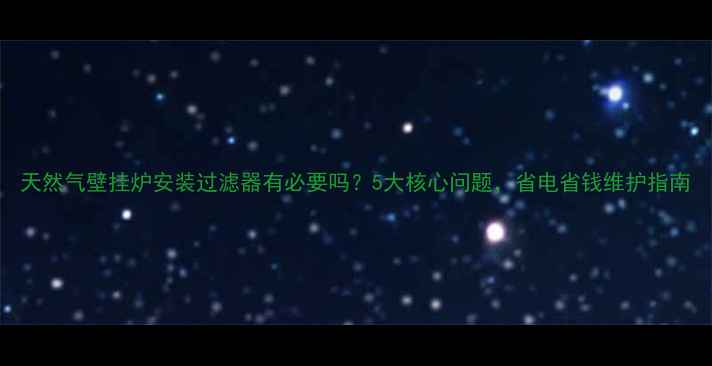 图片 天然气壁挂炉安装过滤器有必要吗？5大核心问题，省电省钱维护指南