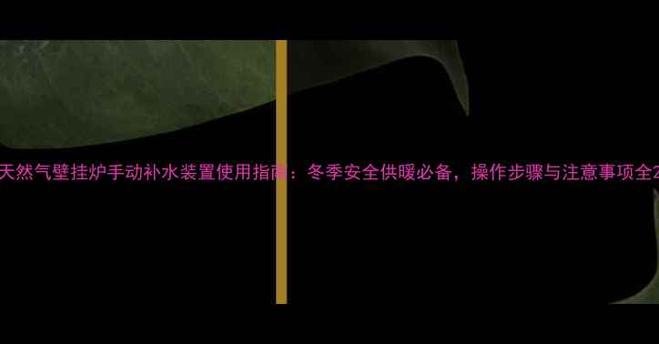 天然气壁挂炉手动补水装置使用指南冬季安全供暖必备操作步骤与注意事项全