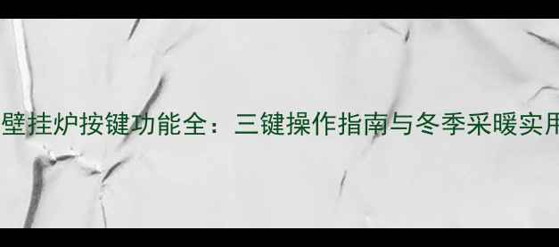 图片 天然气壁挂炉按键功能全：三键操作指南与冬季采暖实用技巧2