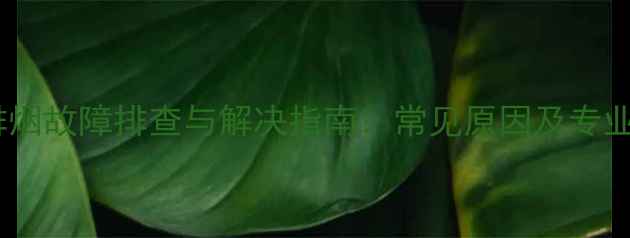 图片 天然气壁挂炉排烟故障排查与解决指南：常见原因及专业维修步骤详解2