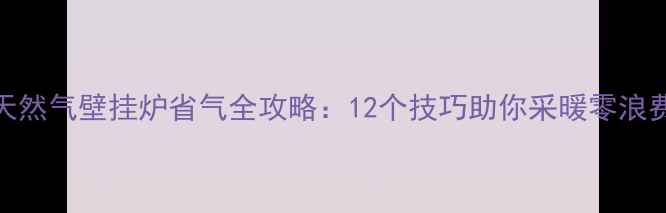 图片 天然气壁挂炉省气全攻略：12个技巧助你采暖零浪费