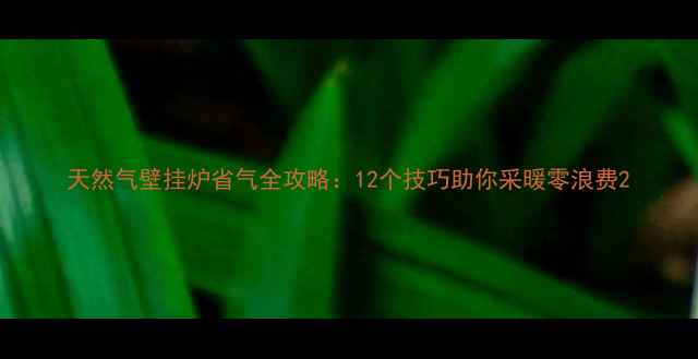 图片 天然气壁挂炉省气全攻略：12个技巧助你采暖零浪费2