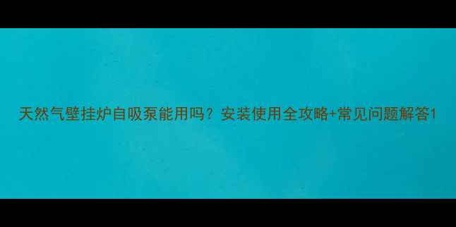天然气壁挂炉自吸泵能用吗安装使用全攻略常见问题解答