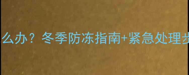 图片 天然气暖气片冻了怎么办？冬季防冻指南+紧急处理步骤+故障预防全攻略