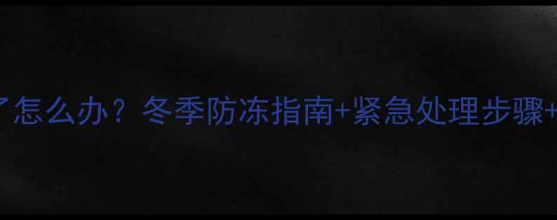 图片 天然气暖气片冻了怎么办？冬季防冻指南+紧急处理步骤+故障预防全攻略1