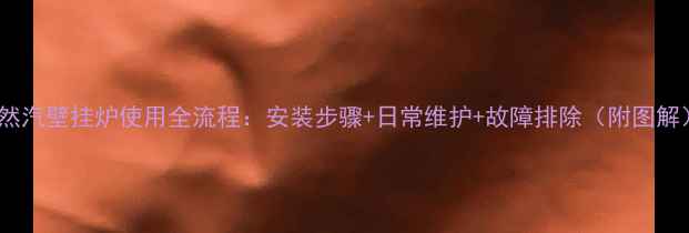 天然汽壁挂炉使用全流程安装步骤日常维护故障排除附图解