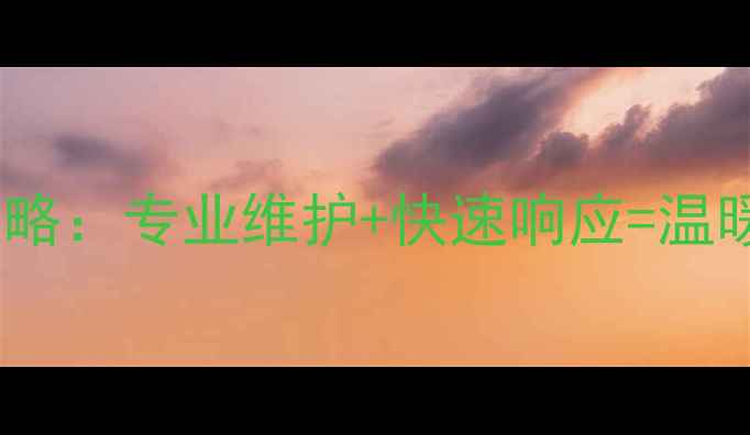 图片 太阳花暖气售后服务全攻略：专业维护+快速响应=温暖过冬！采暖季服务指南1