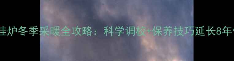 威廉斯壁挂炉冬季采暖全攻略科学调校保养技巧延长8年使用寿命