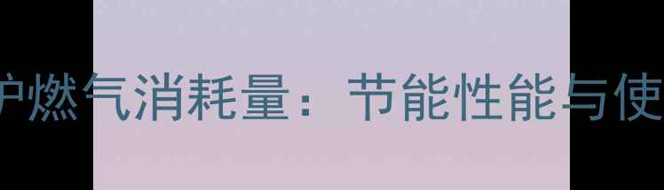 图片 威能24KW壁挂炉燃气消耗量：节能性能与使用成本全指南2