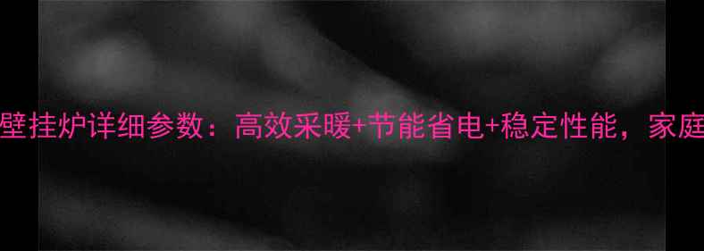 威能24kw国产壁挂炉详细参数高效采暖节能省电稳定性能家庭供暖首选设备