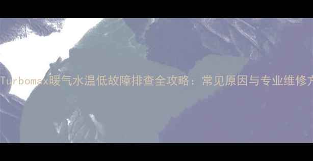 图片 威能Turbomax暖气水温低故障排查全攻略：常见原因与专业维修方案2