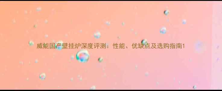 图片 威能国产壁挂炉深度评测：性能、优缺点及选购指南1