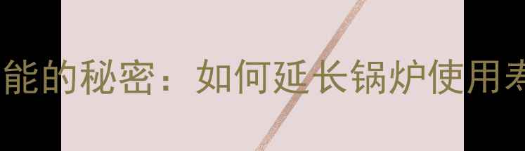 图片 威能地暖热水器高效节能的秘密：如何延长锅炉使用寿命并提升供暖稳定性1