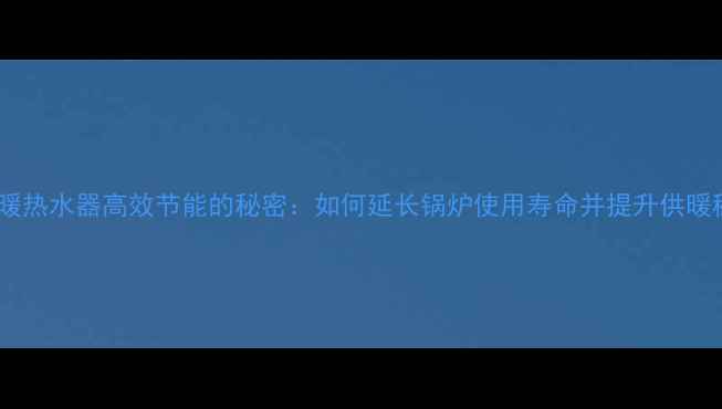 威能地暖热水器高效节能的秘密如何延长锅炉使用寿命并提升供暖稳定性