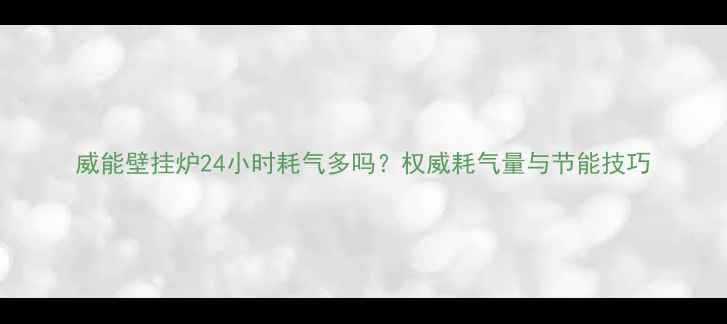 图片 威能壁挂炉24小时耗气多吗？权威耗气量与节能技巧