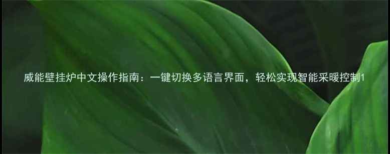 图片 威能壁挂炉中文操作指南：一键切换多语言界面，轻松实现智能采暖控制1