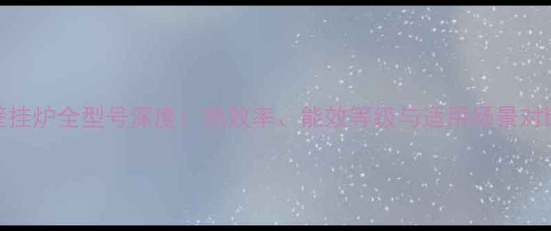 威能壁挂炉全型号深度热效率能效等级与适用场景对比指南