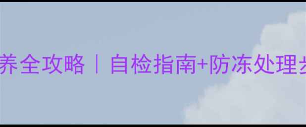 威能壁挂炉冬季不冻保养全攻略自检指南防冻处理步骤北方家庭必看