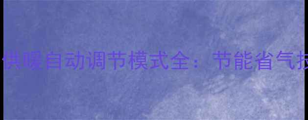 威能壁挂炉冬季供暖自动调节模式全节能省气技巧与使用指南