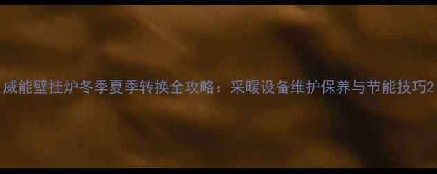图片 威能壁挂炉冬季夏季转换全攻略：采暖设备维护保养与节能技巧2