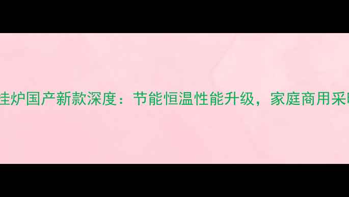 图片 威能壁挂炉国产新款深度：节能恒温性能升级，家庭商用采暖首选1