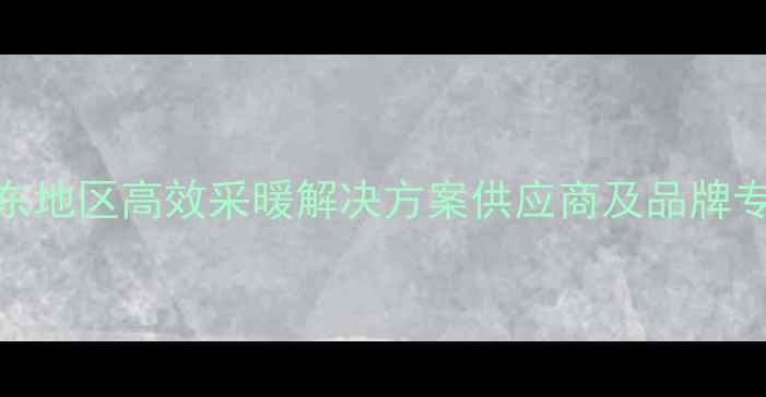 威能壁挂炉山东地区高效采暖解决方案供应商及品牌专卖店服务指南
