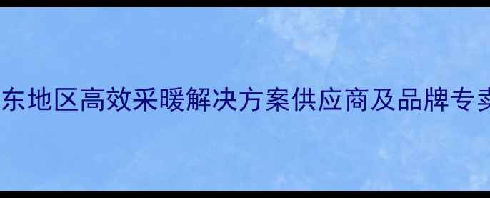 图片 威能壁挂炉山东地区高效采暖解决方案供应商及品牌专卖店服务指南1