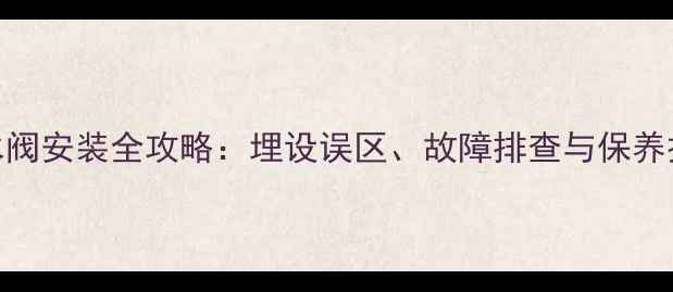 图片 威能壁挂炉排水阀安装全攻略：埋设误区、故障排查与保养技巧（附图解）