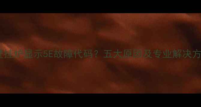 威能壁挂炉显示5E故障代码五大原因及专业解决方法全