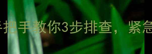 图片 威能壁挂炉正常灯不亮？手把手教你3步排查，紧急处理指南（附图文教程）2