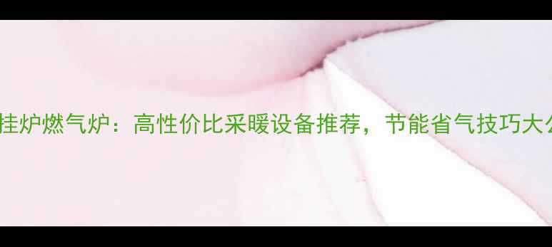 图片 威能壁挂炉燃气炉：高性价比采暖设备推荐，节能省气技巧大公开！1
