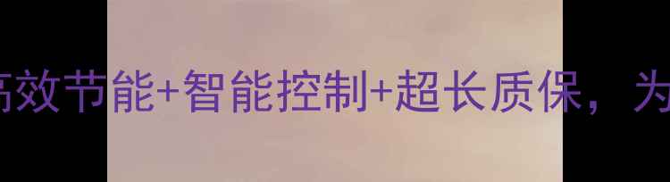 威能壁挂炉选购指南高效节能智能控制超长质保为什么家庭采暖首选它