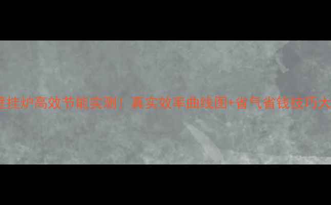 图片 威能壁挂炉高效节能实测！真实效率曲线图+省气省钱技巧大公开1