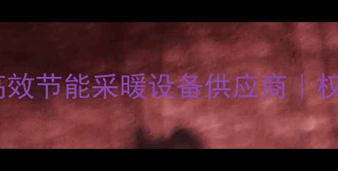 图片 威能暖气炉湖北总代理｜高效节能采暖设备供应商｜权威推荐湖北地区安装服务1