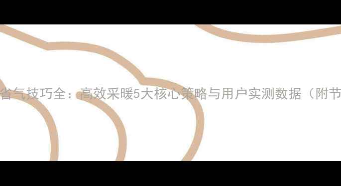 图片 威能暖气省气技巧全：高效采暖5大核心策略与用户实测数据（附节能方案）