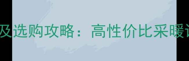 图片 威诺燃气壁挂炉价格及选购攻略：高性价比采暖设备推荐与安装指南2