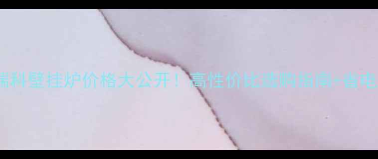 安艾瑞科壁挂炉价格大公开高性价比选购指南省电技巧