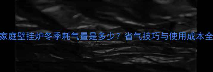 图片 家庭壁挂炉冬季耗气量是多少？省气技巧与使用成本全