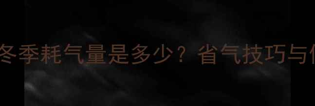 家庭壁挂炉冬季耗气量是多少省气技巧与使用成本全
