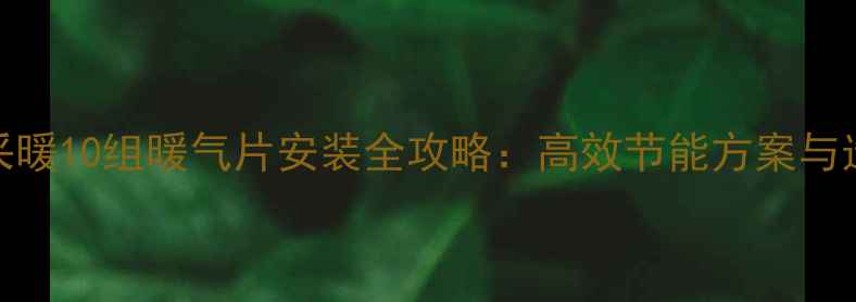 图片 家庭自采暖10组暖气片安装全攻略：高效节能方案与选购指南